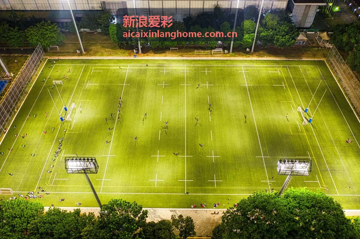新浪爱彩走势图表数据概览界面